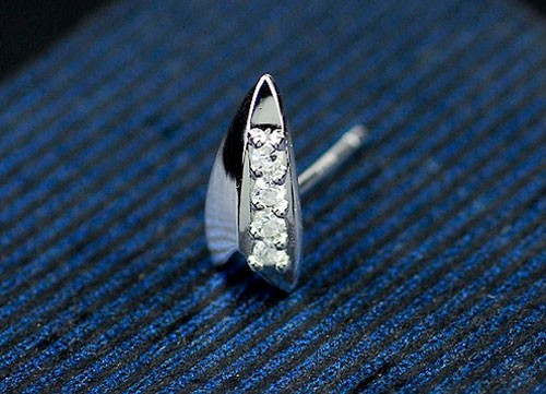 Titanium Earrings